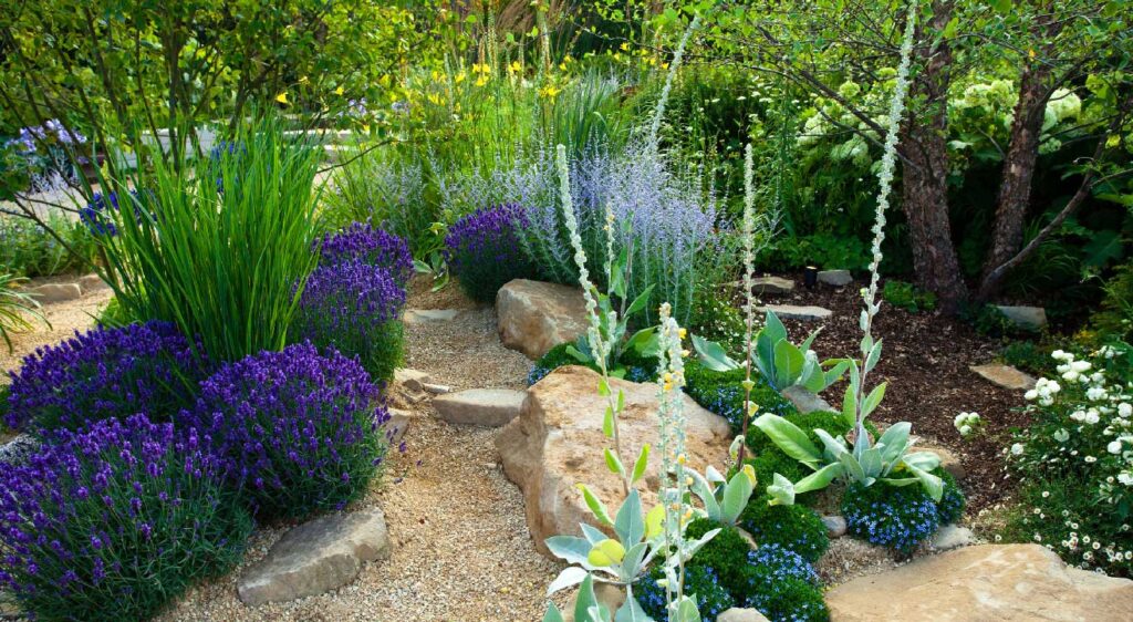 Home_jardin