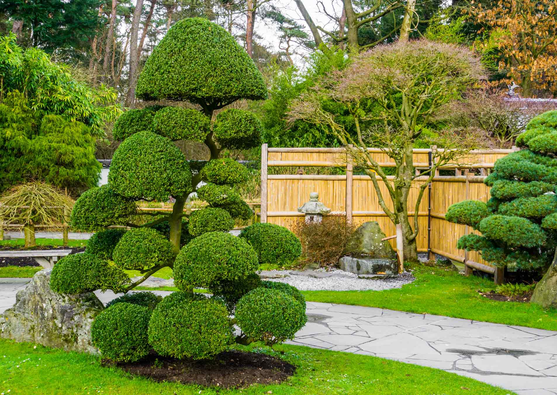 jardin4